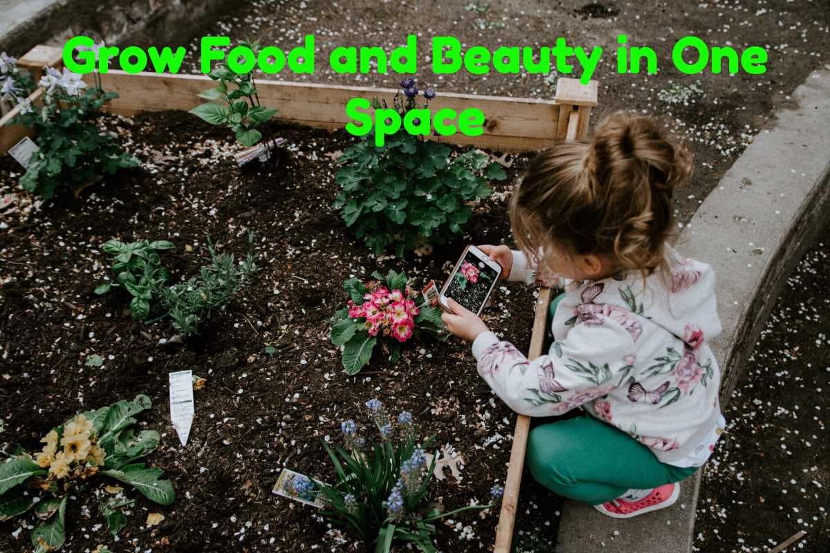 Grow Food and Beauty in One Space