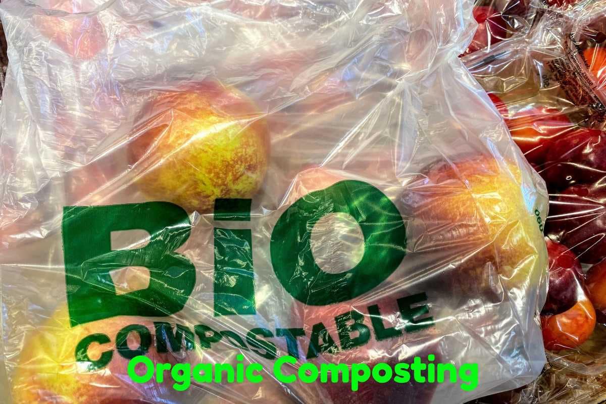 Organic Composting