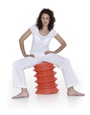 Ergo Ergo Ergonomically Designed Desk Chair