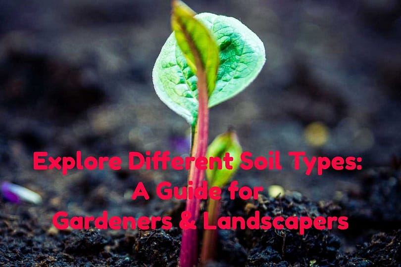 Explore Different Soil Types: A Guide for Gardeners & Landscapers ...