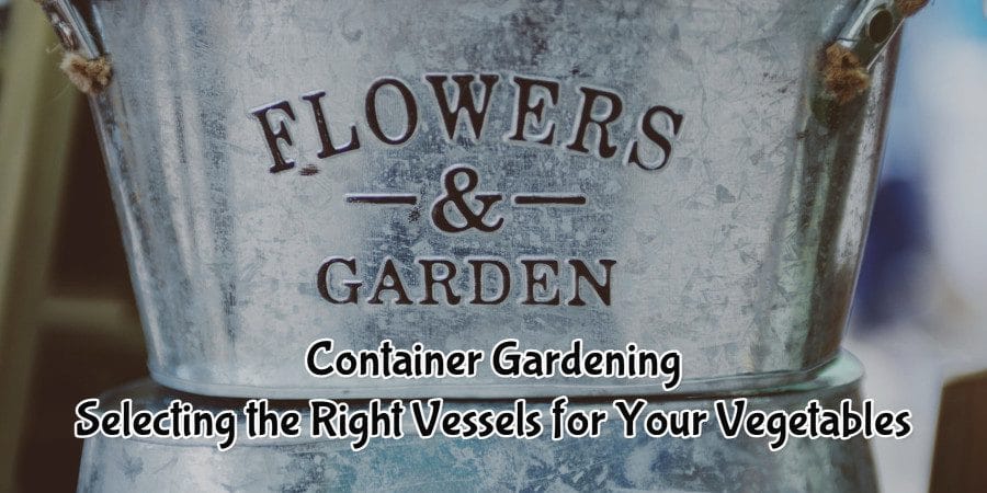 Container-Gardening-Selecting-the-Right-Vessels-for-Your-Vegetables